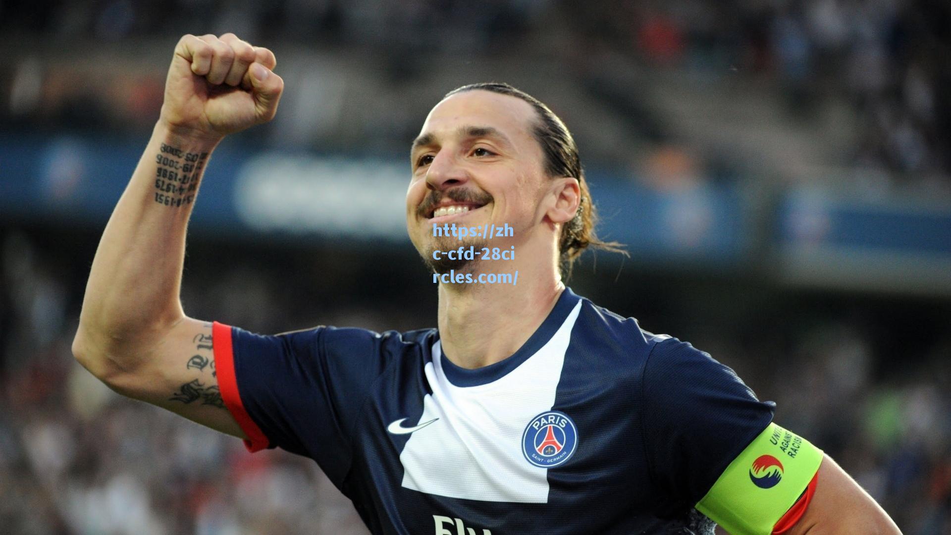 28圈网页版_帆看世界欧洲杯媒体证下来了！可我又犯难了